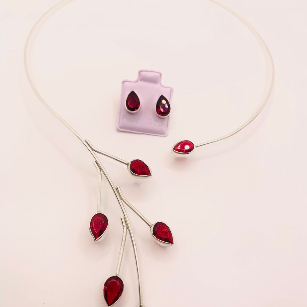 Elegant Silver .925 and Red Jewelry Set